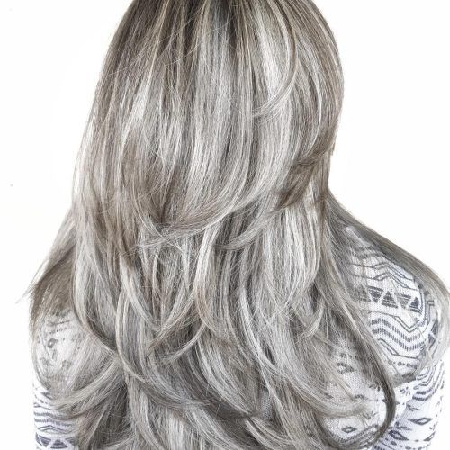 Loose Layers Hairstyles With Silver Highlights (Photo 4 of 20)