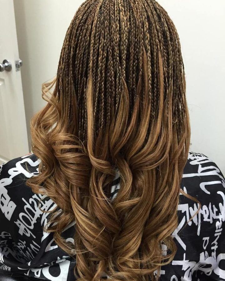 2024 Popular Highlighted Invisible Braids with Undone Ends
