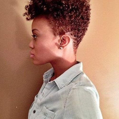 Short Haircuts For Natural African American Hair (Photo 14 of 20)