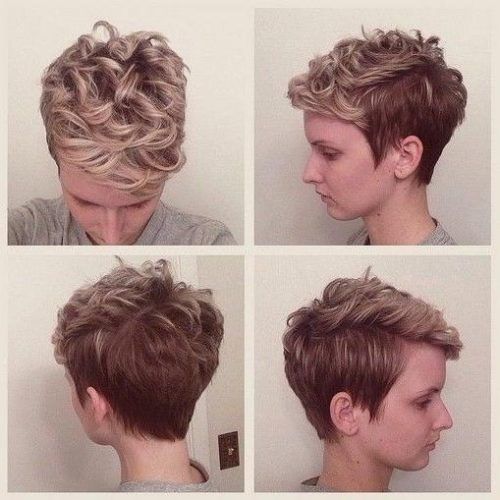 Long Pixie Haircuts For Curly Hair (Photo 16 of 20)