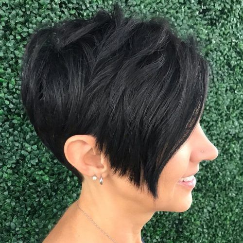 Pixie Haircuts With Tapered Sideburns (Photo 19 of 20)