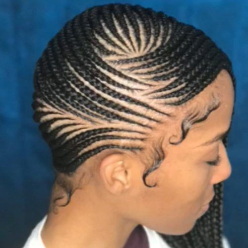 Side Cornrows Braided Hairstyles (Photo 1 of 20)