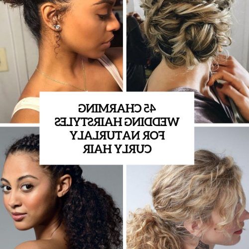 Naturally Curly Braided Hairstyles (Photo 3 of 20)