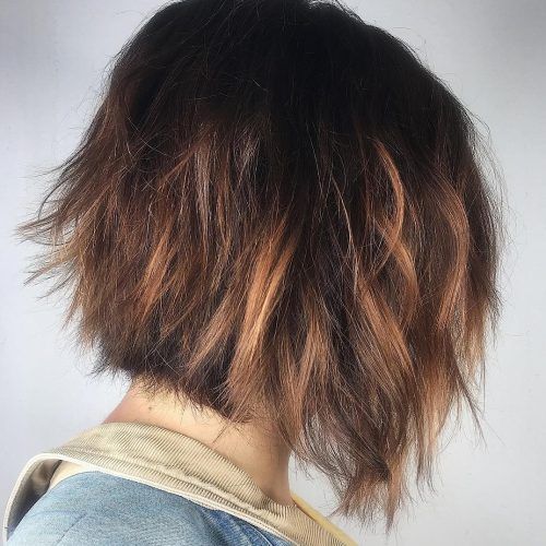 Tapered Shaggy Chocolate Brown Bob Hairstyles (Photo 14 of 20)