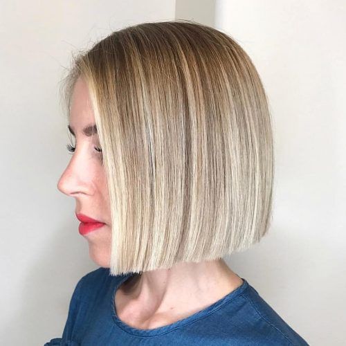 Rounded Sleek Bob Hairstyles With Minimal Layers (Photo 8 of 20)