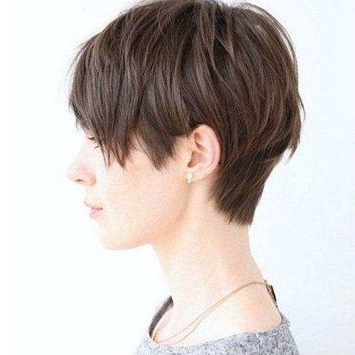 Long Pixie Hairstyles For Thin Hair (Photo 5 of 20)