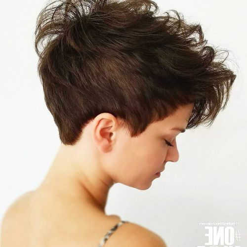 Choppy Pixie Hairstyles With Tapered Nape (Photo 13 of 20)