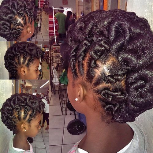 Natural Hair Updo Hairstyles (Photo 15 of 15)