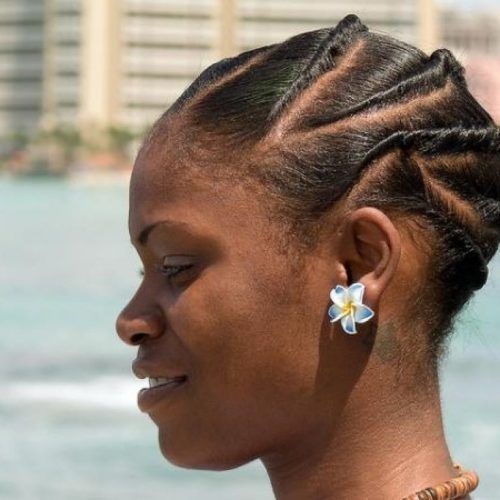 Braided Hairstyles For Women Over 40 (Photo 10 of 15)