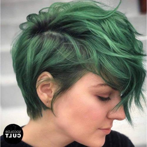 Pastel Pixie Haircuts With Curly Bangs (Photo 13 of 20)