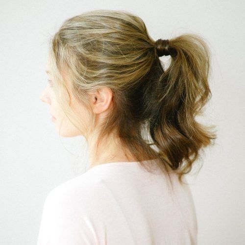 Chic Ponytail Hairstyles With Added Volume (Photo 15 of 20)
