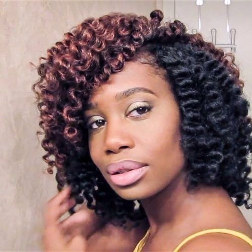 Cornrows And Crochet Hairstyles (Photo 15 of 15)
