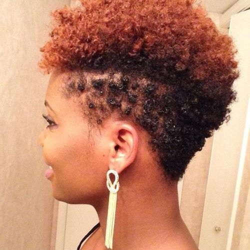 Short Haircuts For Natural African American Hair (Photo 3 of 20)