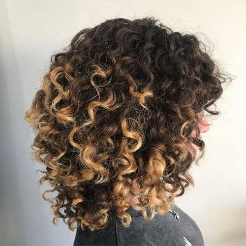 Short Loose Curls Hairstyles With Subtle Ashy Highlights (Photo 12 of 20)
