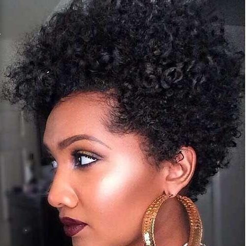 Short Haircuts For Naturally Curly Black Hair (Photo 16 of 20)
