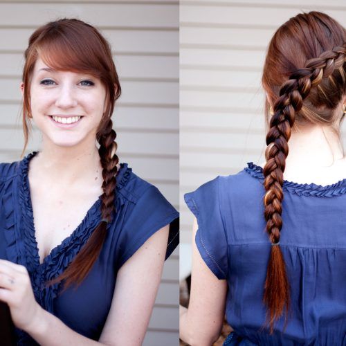 Wide Crown Braided Hairstyles With A Twist (Photo 16 of 20)