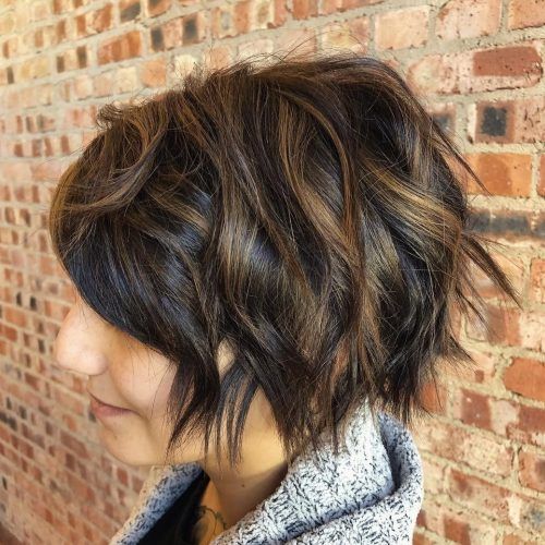 Razored Two-Layer Bob Hairstyles For Thick Hair (Photo 19 of 20)