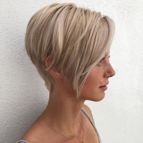 Short Feathered Bob Crop Hairstyles (Photo 4 of 20)