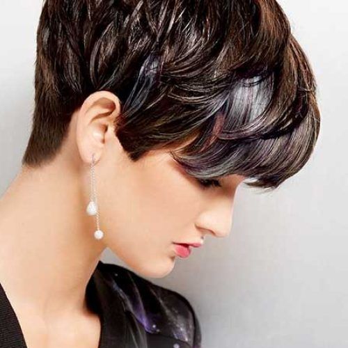 Longer-On-Top Pixie Hairstyles (Photo 16 of 20)
