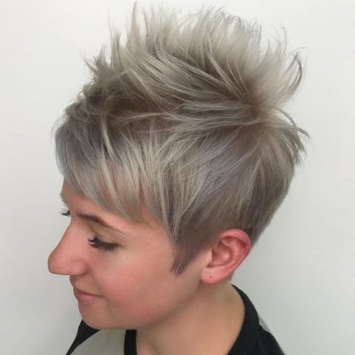 Gray Pixie Haircuts With Messy Crown (Photo 7 of 20)