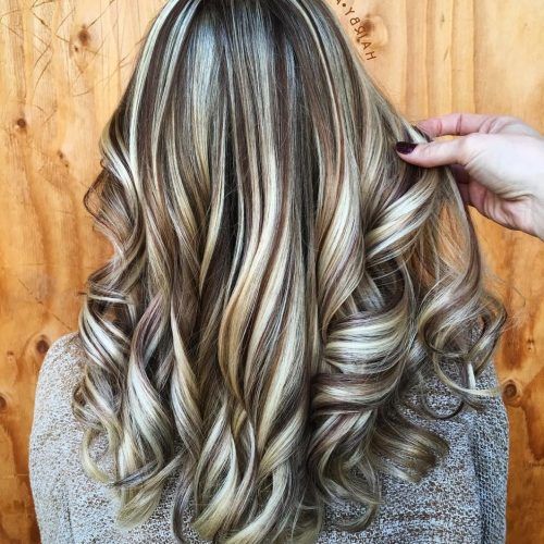 Dark Brown Hair Hairstyles With Silver Blonde Highlights (Photo 19 of 20)