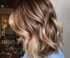 20 Best Collection of Light Brown Hairstyles with Blonde Highlights