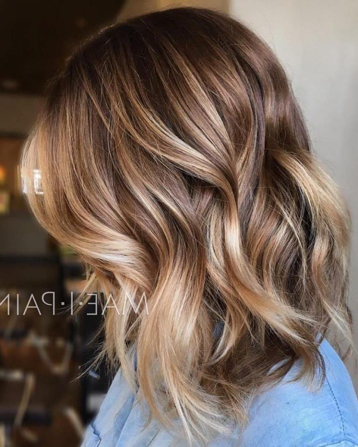 20 Best Collection of Light Brown Hairstyles with Blonde Highlights