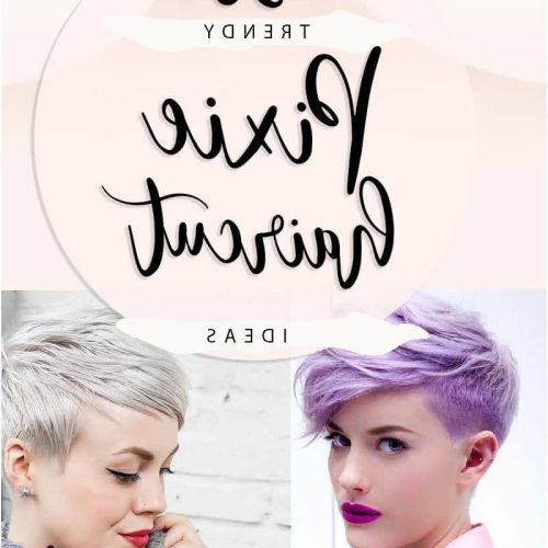 Edgy Purple Tinted Pixie Haircuts (Photo 18 of 20)