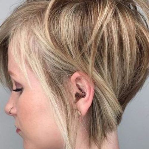 Long Pixie Hairstyles For Thin Hair (Photo 20 of 20)