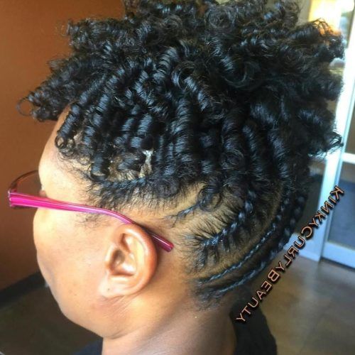Reverse Flat Twists Hairstyles (Photo 5 of 15)