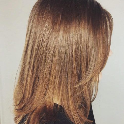 Classy Layers For U-Shaped Haircuts (Photo 8 of 20)