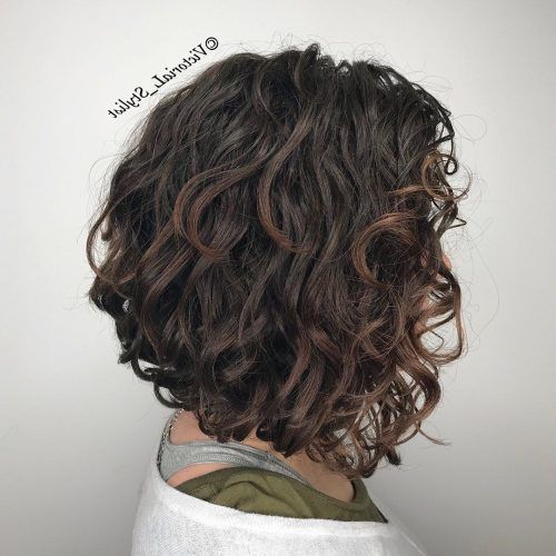 Scrunched Curly Brunette Bob Hairstyles (Photo 7 of 20)
