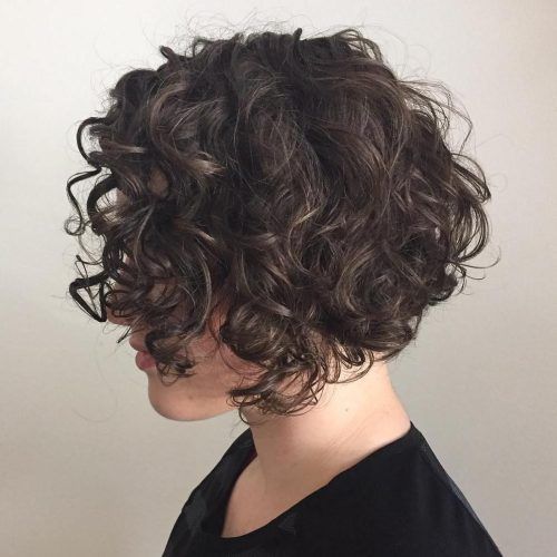Jaw-Length Inverted Curly Brunette Bob Hairstyles (Photo 3 of 20)