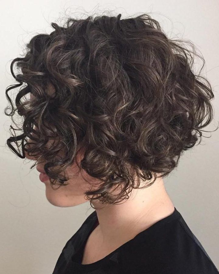 20 Photos Scrunched Curly Brunette Bob Hairstyles