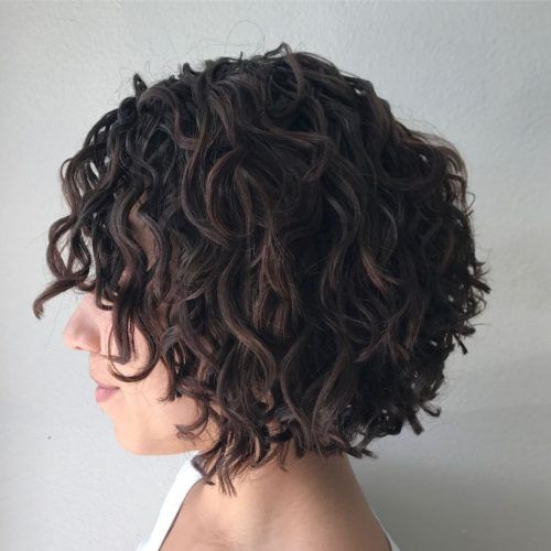 Scrunched Curly Brunette Bob Hairstyles (Photo 2 of 20)