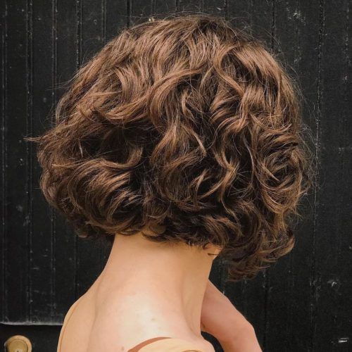 Scrunched Curly Brunette Bob Hairstyles (Photo 9 of 20)
