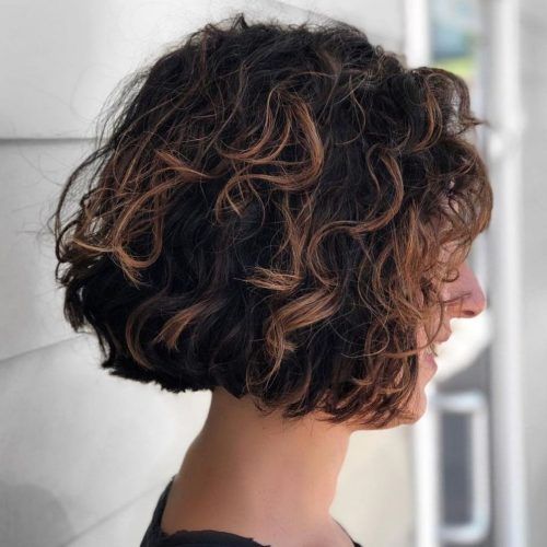 Scrunched Curly Brunette Bob Hairstyles (Photo 4 of 20)