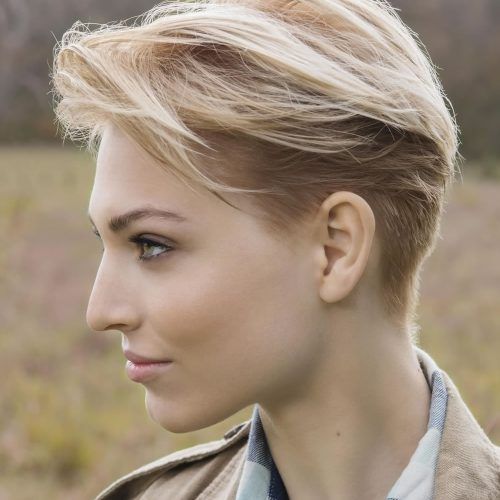 Contemporary Pixie Hairstyles (Photo 8 of 20)