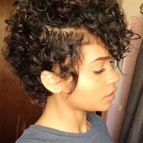 Naturally Curly Short Hairstyles (Photo 17 of 20)