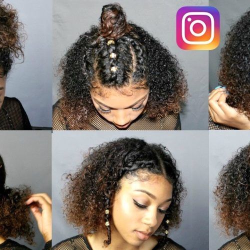 Naturally Curly Braided Hairstyles (Photo 4 of 20)
