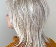 2024 Popular Silver-white Shaggy Haircuts