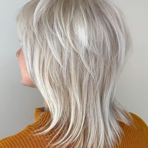 Short-To-Medium Shattered Gray Shag Haircuts (Photo 3 of 20)