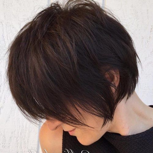 Long Feathered Espresso Brown Pixie Hairstyles (Photo 2 of 20)