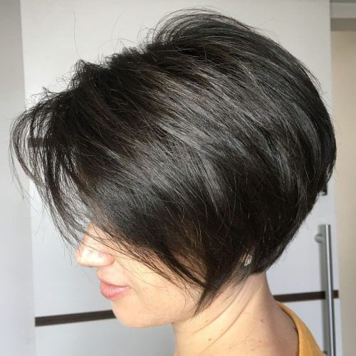 Long Feathered Espresso Brown Pixie Hairstyles (Photo 4 of 20)