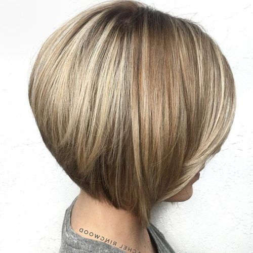 Neat Short Rounded Bob Hairstyles For Straight Hair (Photo 2 of 20)