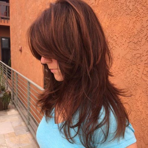 Long Chestnut Brown Shag Hairstyles (Photo 1 of 20)