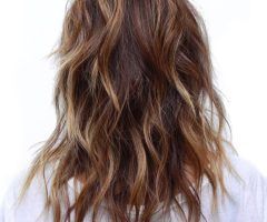 20 Best Ideas Disconnected Brown Shag Long Hairstyles with Highlights