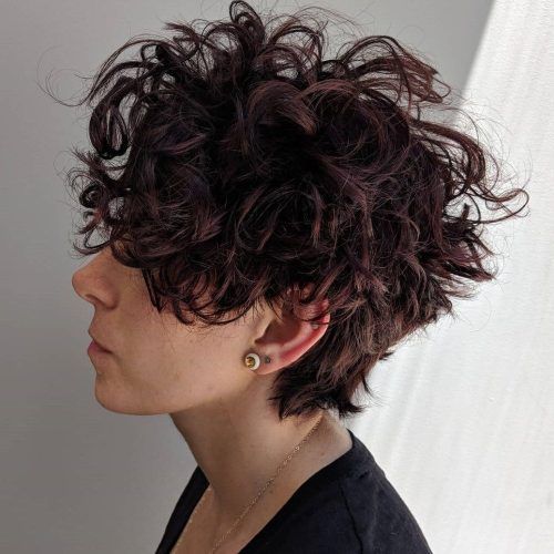 Long Messy Curly Pixie Haircuts (Photo 11 of 20)