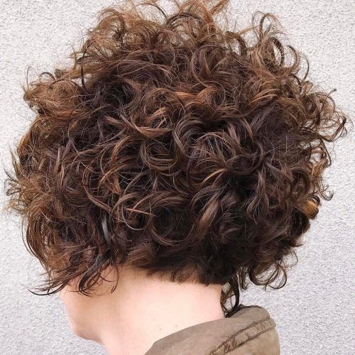 Nape-Length Brown Bob Hairstyles With Messy Curls (Photo 2 of 20)