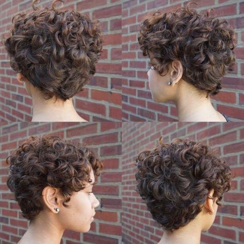 Curly Pixie Hairstyles With V-Cut Nape (Photo 4 of 20)